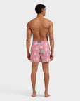 Men Swim Shorts Multicolor Turtles
