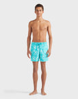 Men Swim Shorts Oursins Bicolores
