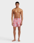 Men Swim Shorts Multicolor Turtles
